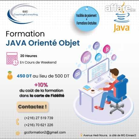 Plongée dans la programmation orientée objet en Java 