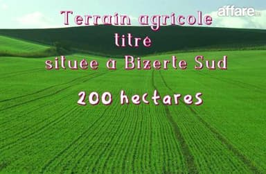 Terrain agricole titré (200) hectares