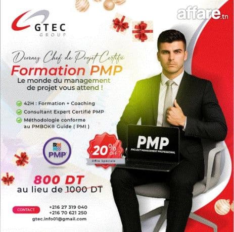 Formation PMP Project Management Professional 