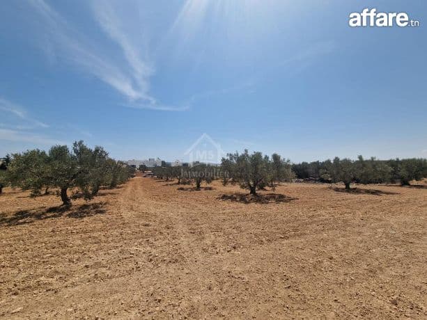 Terrain de 4018 m² à vendre à 200 dt/m² à Hammamet Sud  