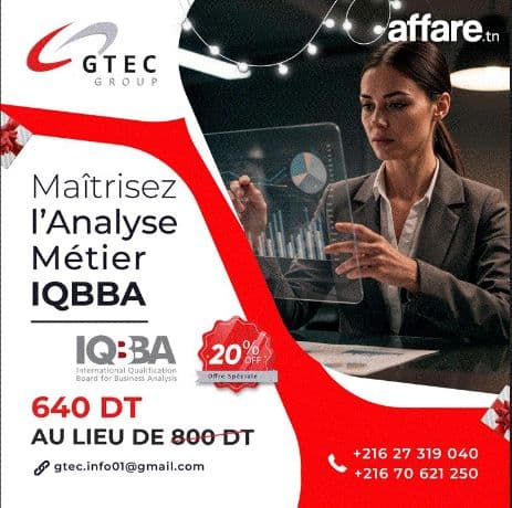 Formation Business Analyst Certification IQBBA