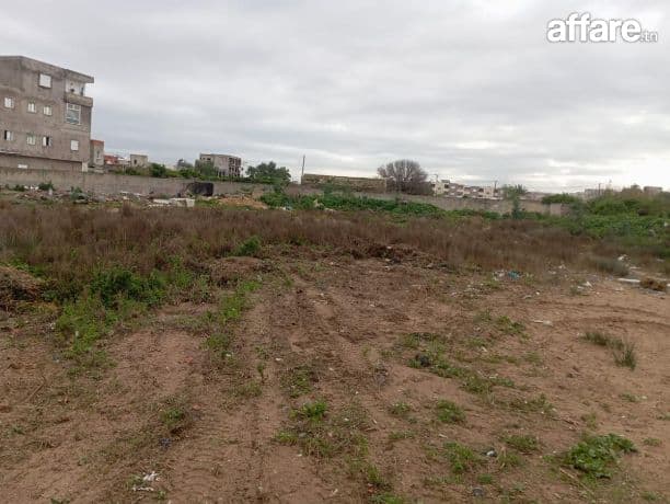 4000 m2 à vendre à la soukra
