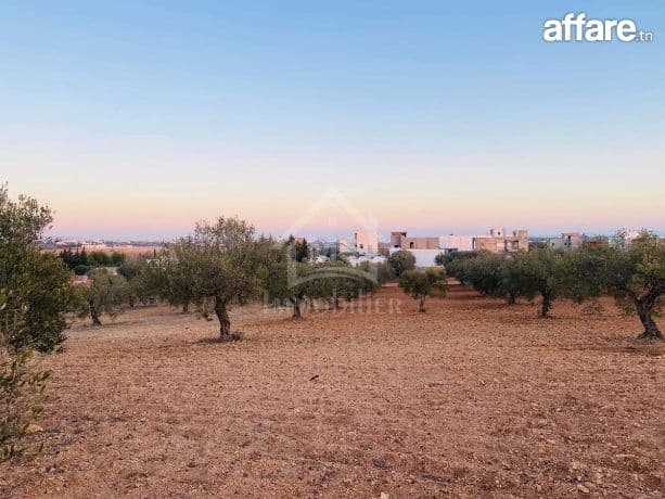 Terrain de 4018 m² à vendre à 200 dt/m² à Hammamet Sud