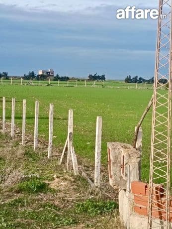 Investissement sûr à Kélibia