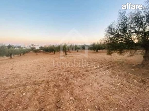 Terrain de 4018 m² à vendre à 200 dt/m² à Hammamet Sud