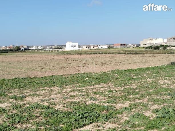 Un terrain de 669 m² à Maamoura à vendre 51355351