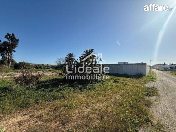 À vendre – Terrain à fort potentiel à Hammamet