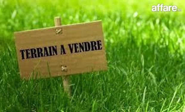 Terrain à vendre à Romila, Nabeul – Opportunité à saisir !