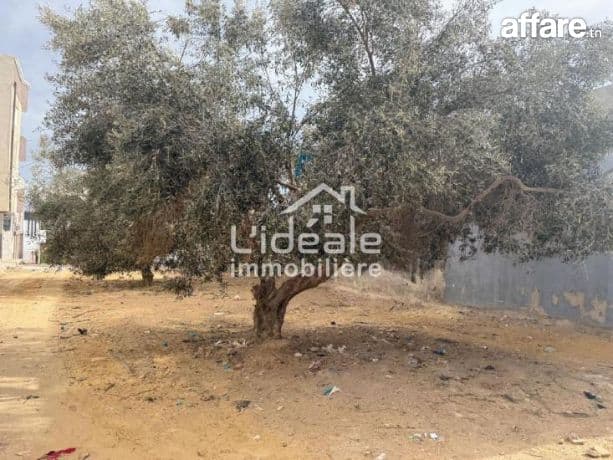 A Vendre un beau Terrain à Hamamet Nord 