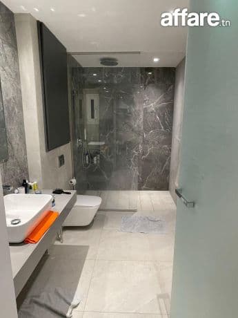 Appartement s+1 meublé au lac 2