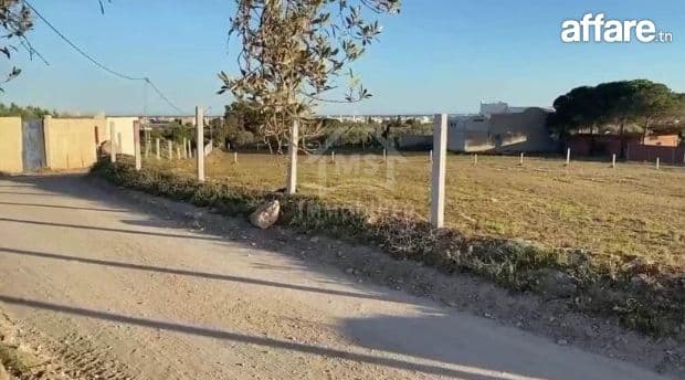 Un terrain vue de mer à vendre à Béni Khiar 51355351