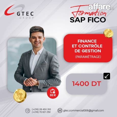 SAP Fico Paramétrage : Configurer sur SAP S/4HANA