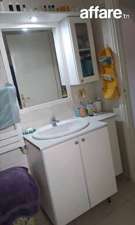 s+2 a vendre a manar 1 