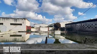 7 hectares d’agrumes à El gobba Grombalia