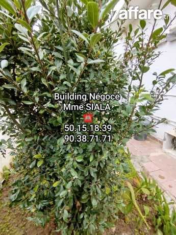 🛑🏠Borj Louzir à louer spacieux RDC de villa S+3🛑🏠