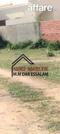 terrain près de la mer