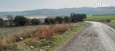 Terrain agricole de 3 hectares zitoun