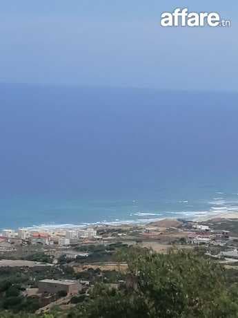 Terrain pied dans l eau kef Abed bizerte 