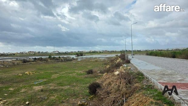 Terrain d’Habitation Titré – El Maâmoura, Nabeul