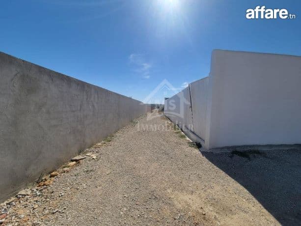 Terrain de 773 m² à Hammamet Sud à vendre à 150 MD 51355351