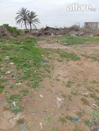 lot de 346 m2 à la soukra