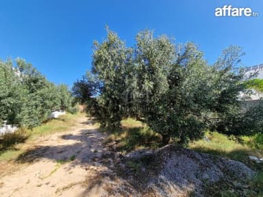 Terrain constructible de 520 m² à Mrezga à vendre 51355351