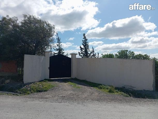 Ferme agricole à vendre à Bir Mcherga