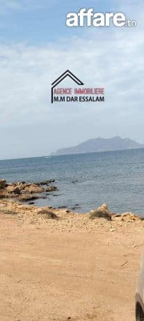 terrain près de la plage