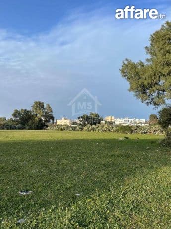 2 lots de terrain vue de mer à vendre à Jinen Béni Khiar  