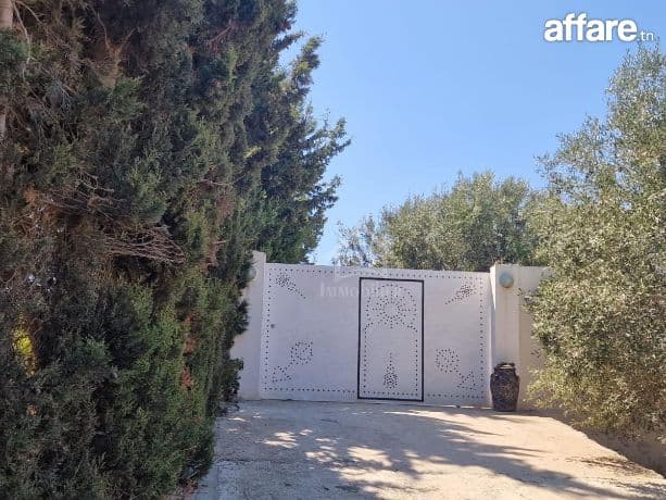 Spacieuse maison S+2 à Hammamet Sud à vendre 51355351