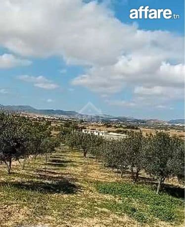Terrain de 400 m² avec vue de mer à Hammamet Sud à vendre