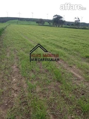 terrain agricole à vendre