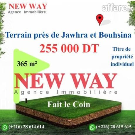 Terrain fait le Coin, Prés de Jawhra et Bouhsina