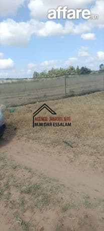 terrain près de la route principal