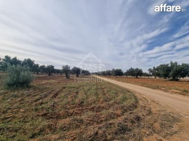 Terrain de 970 m² à Hammamet Sud à vendre à 230 MD 51355351