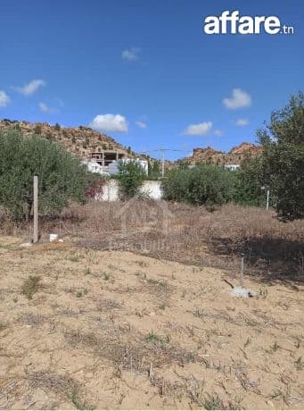 Terrain de 300 m² à Hammamet Sud à vendre 51355351