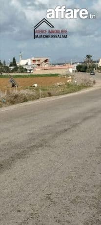 terrain sur la route principal