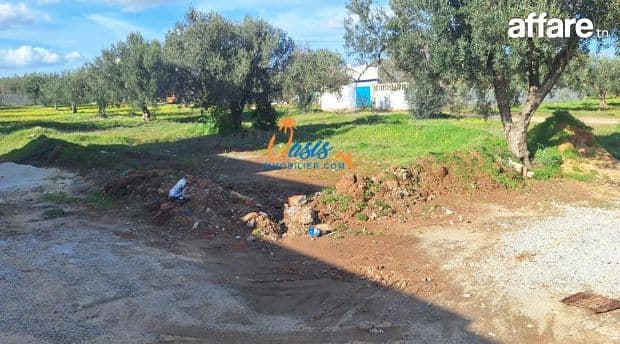  À vendre – Terrain à fort potentiel à Hammamet Sud