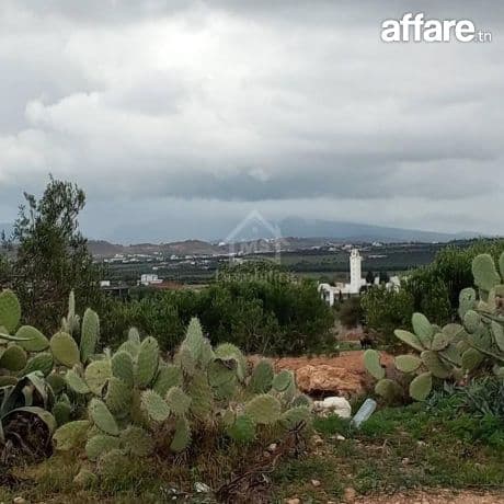 Terrain de 2700 m² à Hammamet Sud à vendre 51355351