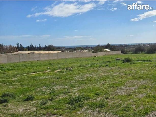 Terrain 2hektar et 700 à gandouz chatt-meriem 