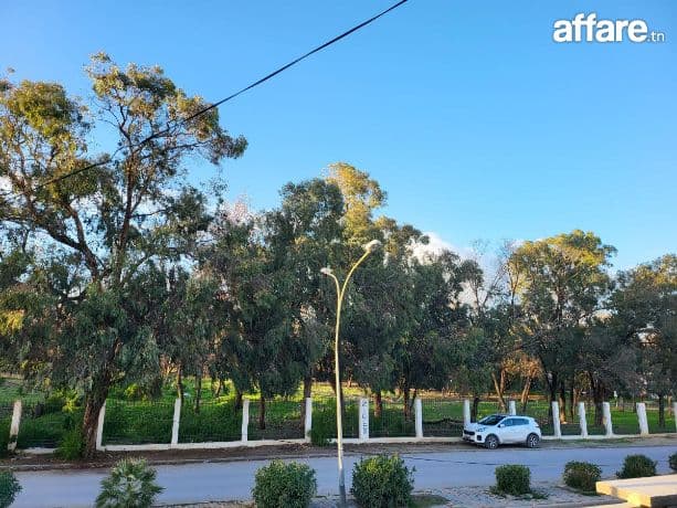 Maison a louer a ibn sina