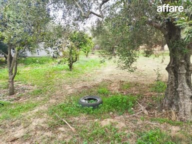 Terrain de 850 m² à vendre à Hammamet Sud 51355351