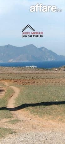 terrain près de la mer 