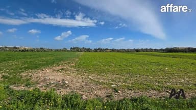 Terrain agricole titré de 1 024 m² à Korba