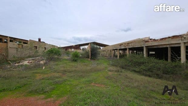 Terrain Industriel – Zone Industrielle de Nabeul