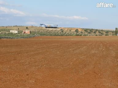  5 hectares terrain agricole