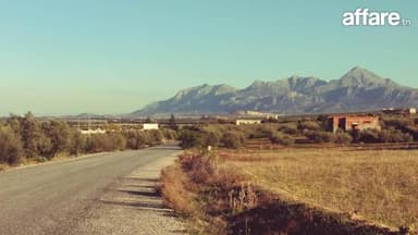 2hectare oliviers à sminja