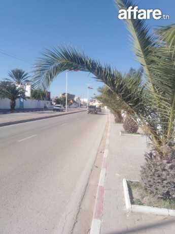 Terrain agricole de 600 h 144000 zitoun a mornag