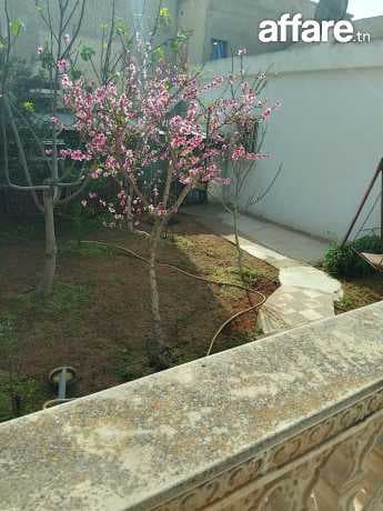 Villa+Maison