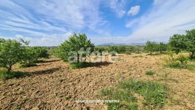 Terrain Agricole à Vendre à Boushem – 5 500 m²
